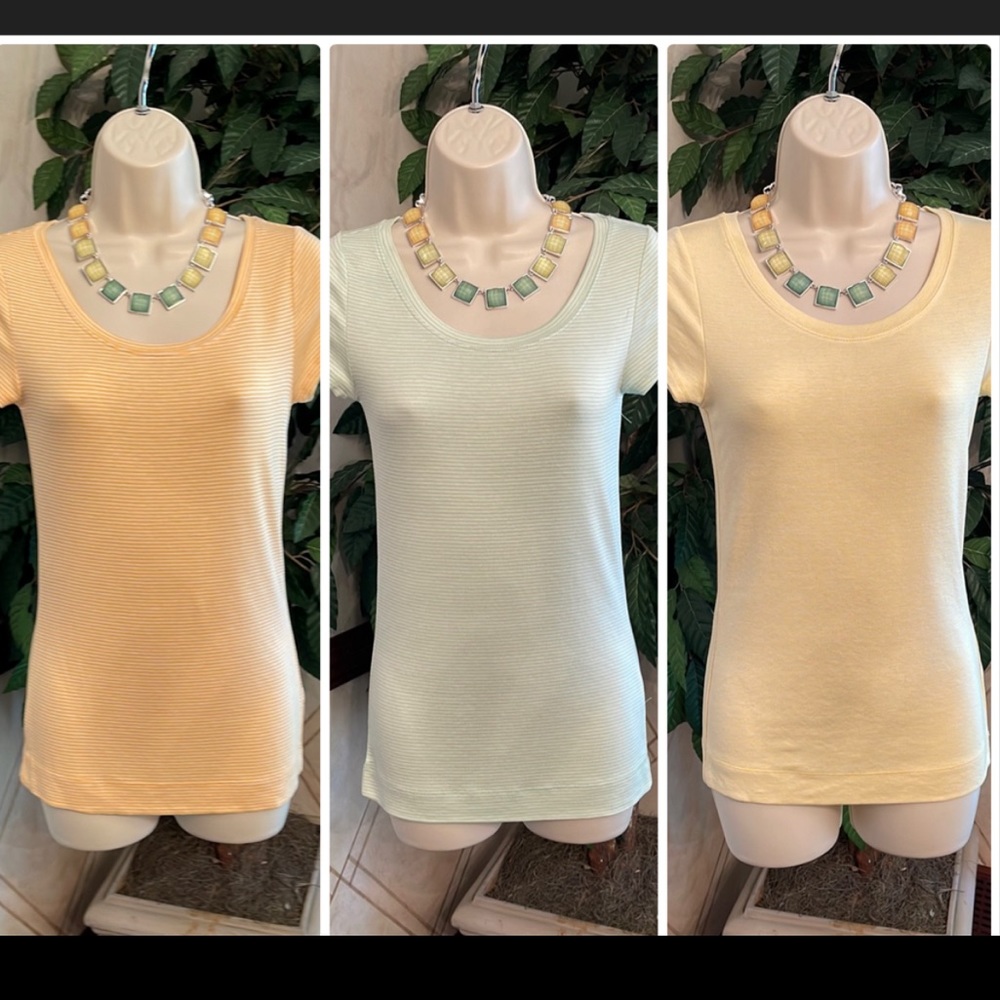 THE LIMITED SHORT SLEEVE TOP & NECKLACE BUNDLE